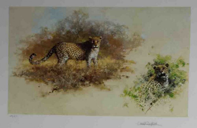 Leopards - Black Framed