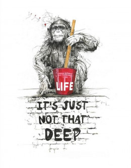 Life, It's Just Not That Deep - Mounted