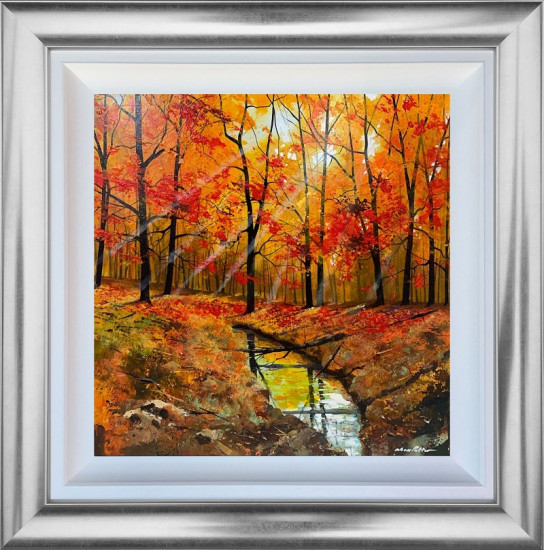 Looking On The Bright Side - Original - Silver Framed Looking On The Bright Side - Original - Silver Framed