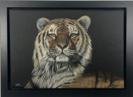 Majesty - Black Framed - Framed Box Canvas