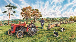 Massey Ferguson 35X, Chris Feeding Suffolk Sheep - Print