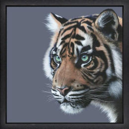 Mesmerised - Black Framed - Framed Box Canvas