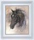 Midnight - White Framed