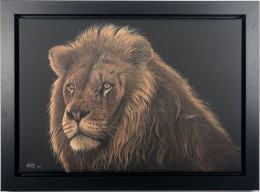 Mkubwa - Black Framed - Framed Box Canvas