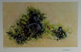 Mountain Gorilla - Black Framed