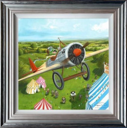 Mr Toads Fantastic Air Display - Framed