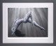 Naked Refraction - Grey Framed