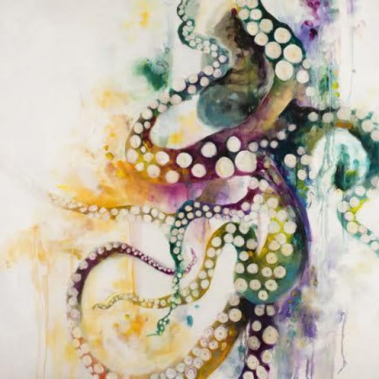 Octopus Octopus