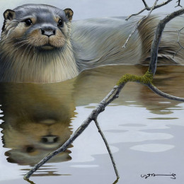Otter - British Wildlife Series - Original - Framed