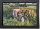 Out To Grass - Framed Box Canvas