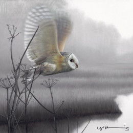 Taking Flight - Owl - Original - Framed