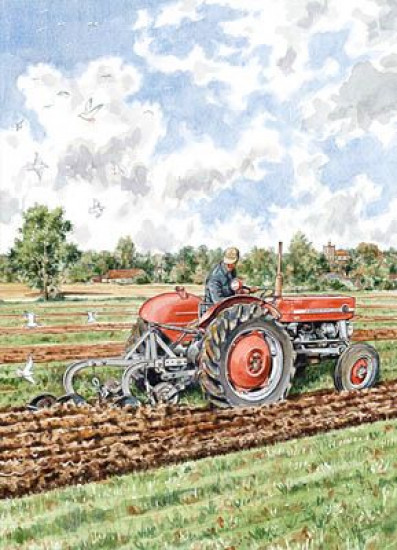 Ploughing With A 135 - Print