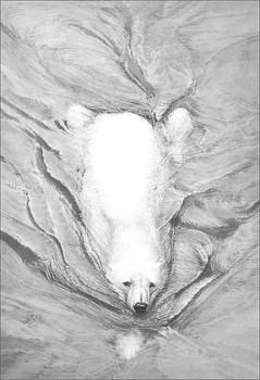 Polar Bear Swimming - Print