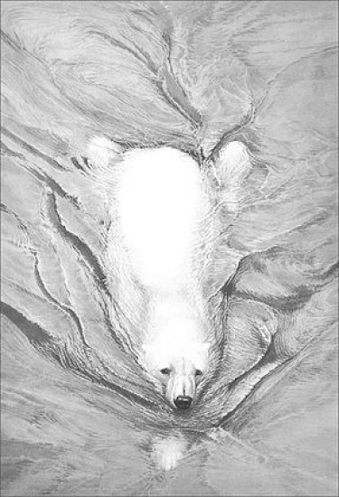 Polar Bear Swimming