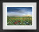 Poppy Dawn - Black Framed