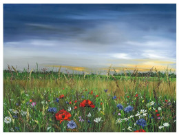 Poppy Dawn - Limited Edition - Board Only