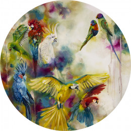 Pretty Polly - Parrots & Parakeets (Large) - Mounted