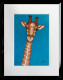 Ralph - Original - Black Framed