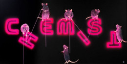 Rats Fixing The Chemist - Mounted