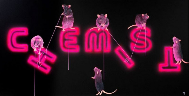 Rats Fixing The Chemist