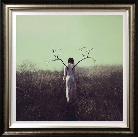 Rejuvenating - Deluxe - Framed Rejuvenating - Deluxe - Framed