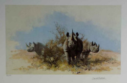 Rhino - Dark Wood Framed