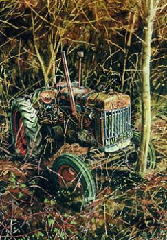 Robins Fordson - Print