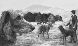 Scottish Deerhound - Print