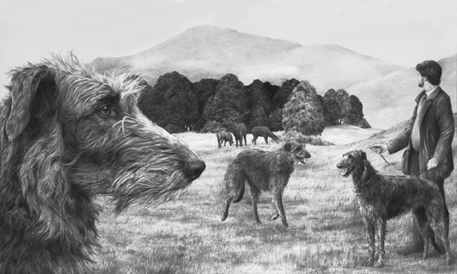 Scottish Deerhound - Print