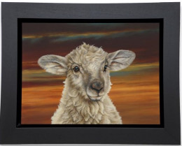 Shepherds Delight - Framed Box Canvas
