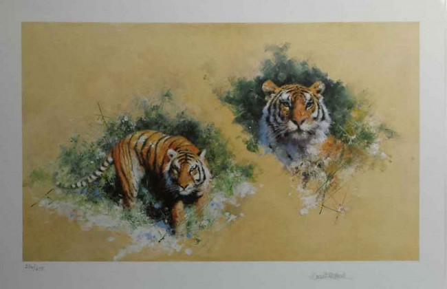 Siberian Tiger - Black Framed