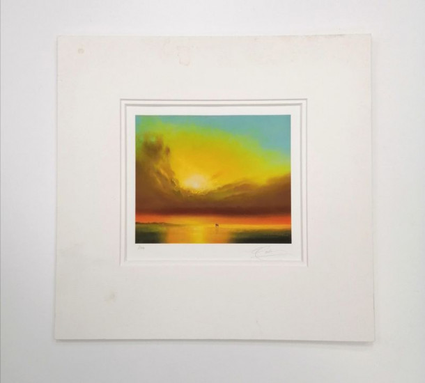 Skylight Shared - Mounted Skylight Shared - Mounted