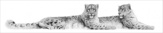 Soulmates - Snow Leopards