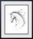 Spirit - Black Framed