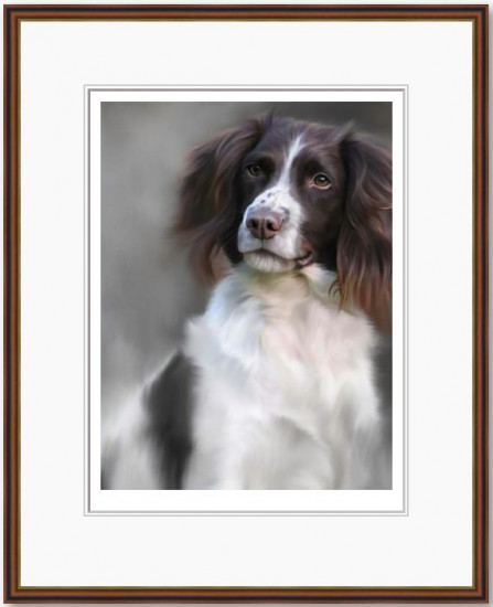 Springer Spaniel (40th Anniversary Image)