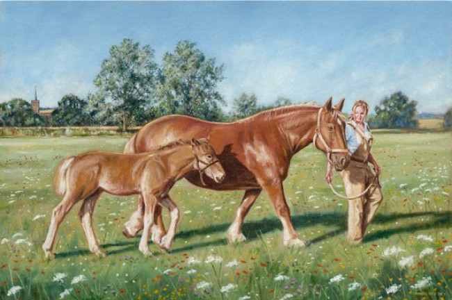 Suffolk Fillies - Canvas