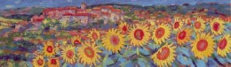 Sunflowers, Simaine - Framed