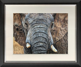 Tembo - Black Framed