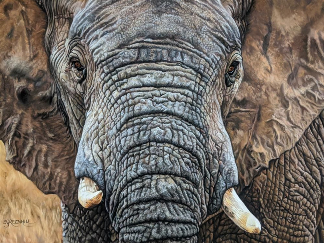 Tembo Tembo