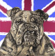 The British Bulldog - Mounted