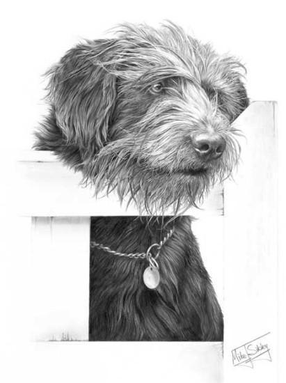 The Gatekeeper (Bearded Collie Cross) - Print