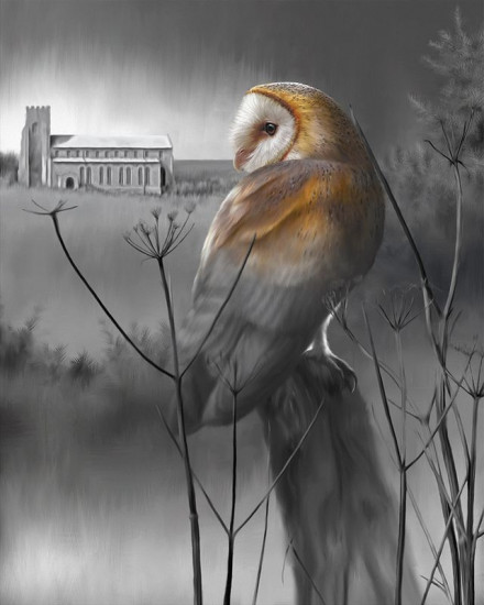 The Owl Of St. Nicholas - Print only The Owl Of St. Nicholas - Print only