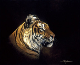 Tiger Profile - Mounted