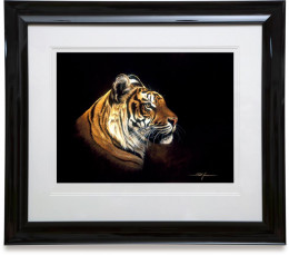 Tiger Profile - Paper - Black Framed