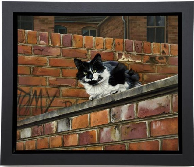 Towny Tom - Framed Box Canvas