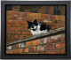 Towny Tom - Framed Box Canvas