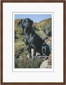 Tribute To Moses - Black Labrador - Dark Wood Framed
