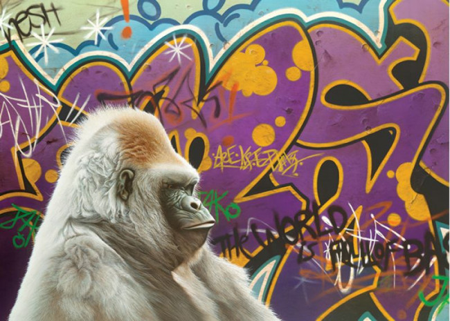 Urban Gorilla - Canvas - Black Framed