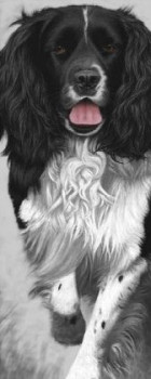 Walk Tall - Springer Spaniel - Print