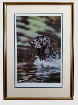 Watch Splash - Brown Framed